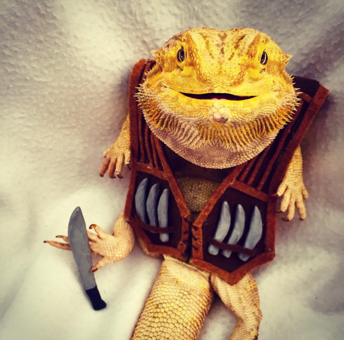 My stunt double! https://t.co/UYKyhGAHAM