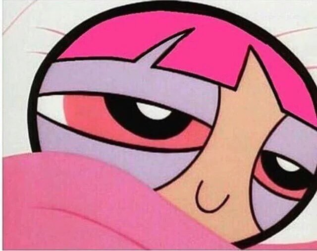 _Truffle_Report's tweet photo. Going to sleep high af like https://t.co/bLNXO2Akey