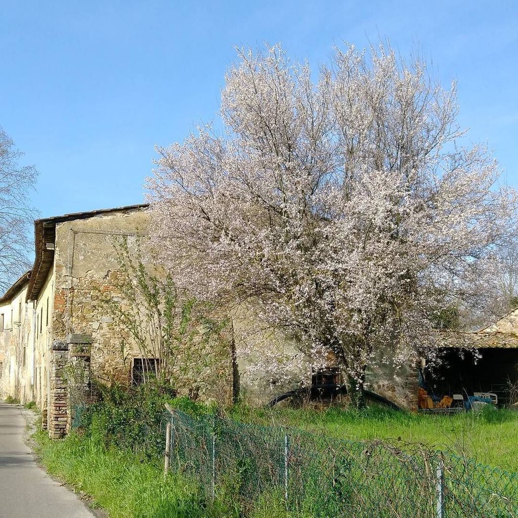 WeTuscany's tweet photo. #buongiornofirenze #firenze #toscana #florence #goodmorningflorence #tuscany #quasiprimavera #almostspring #ig_fire… https://t.co/dk5A6FaIjj