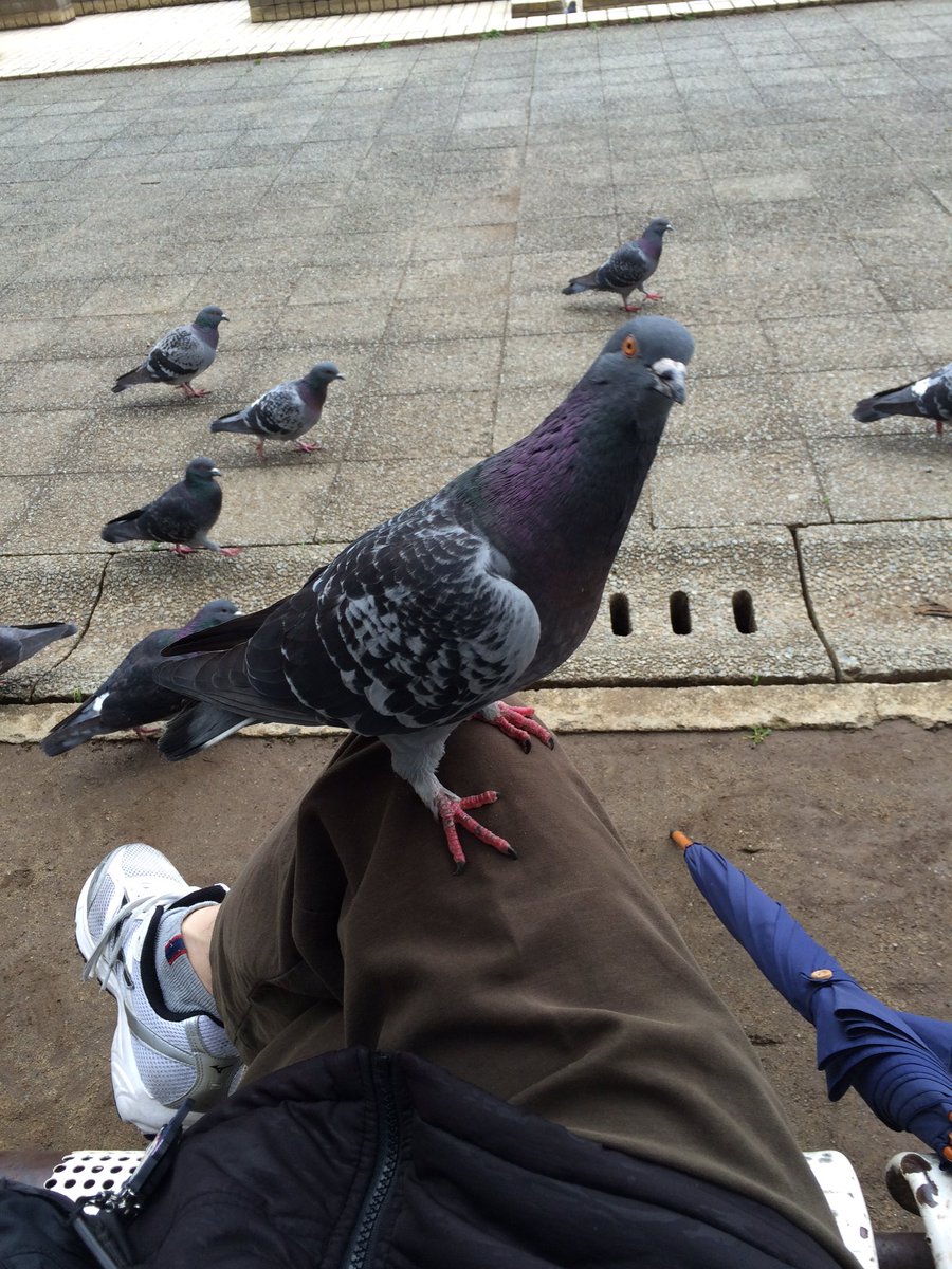 nanatsuboshi_7's tweet photo. よるな！！

よるな！！！

よるなぁあああああああああーーーーーーーーーー！！！！！！！！！！！！！！！！！！！！！！！！！！！！！！！！！！！！！！！！ https://t.co/7kM7fpmeFd