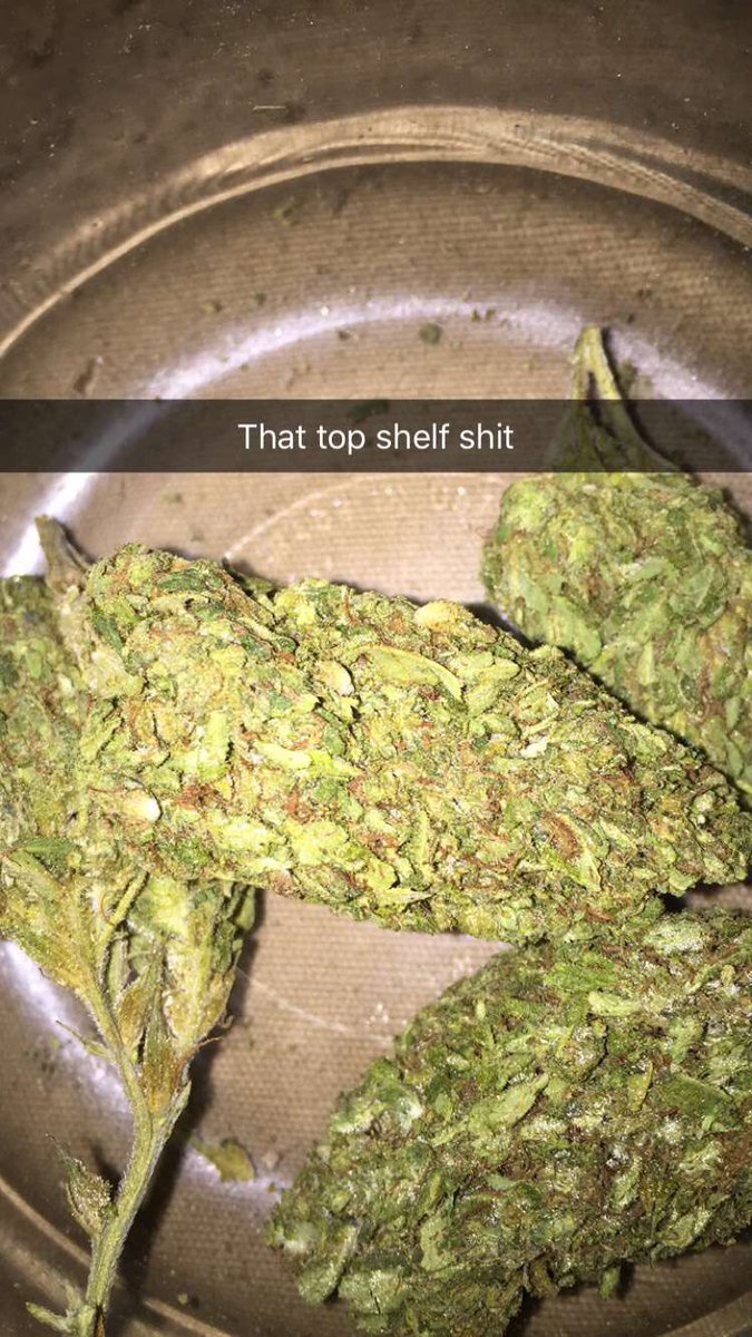WeedStrains156's tweet photo. Some fire Headband #StayHigh https://t.co/YCbuCaKAuH