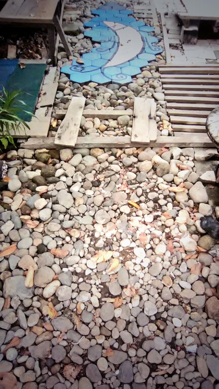 OwnRian's tweet photo. Comback broth.. Come join me again. #ksb #komunitassenibelanak #kadaikandang #secret #spot #padang #ina https://t.co/6pEOg4zYIR
