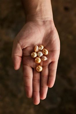 Jewelmer's tweet photo. Do you know that it takes 4 to 5 years to create a single #golden South Sea #pearl? #throwback #GridMagazinePH https://t.co/8wmLCz8Qpp