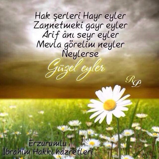 seravasar's tweet photo. #DineihanetDekanaiftira https://t.co/qYspAVTdi7