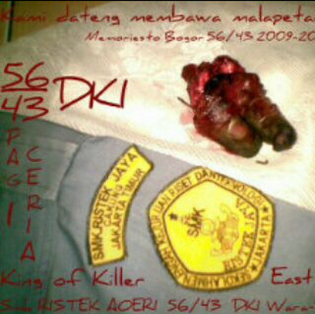 RISAOE56jakarta's tweet photo. Ini memory 2009-2010, pulang bawa oleh oleh, 11 maret https://t.co/zeK2DTbnIZ