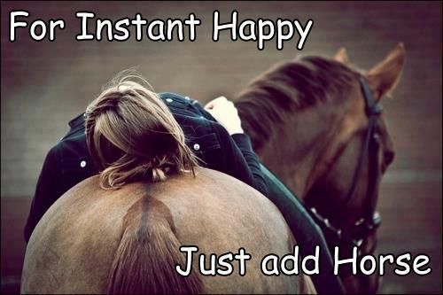 FawkhamDRC's tweet photo. Woohoo!!! We are on countdown to the weekend #horse #happydays https://t.co/86sK5Xyfdx