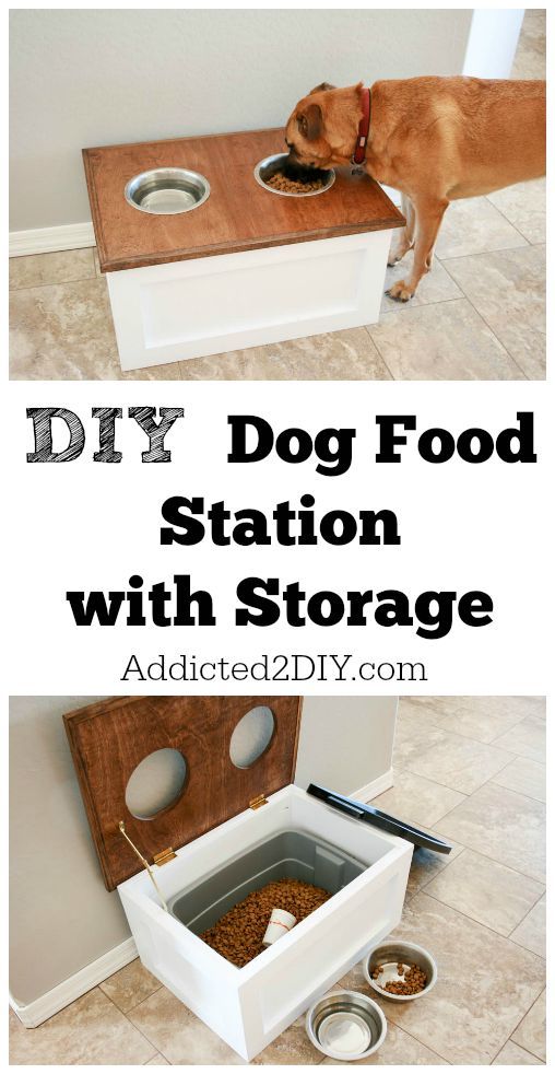 Pet Feeding Station - Build Space for your Animals