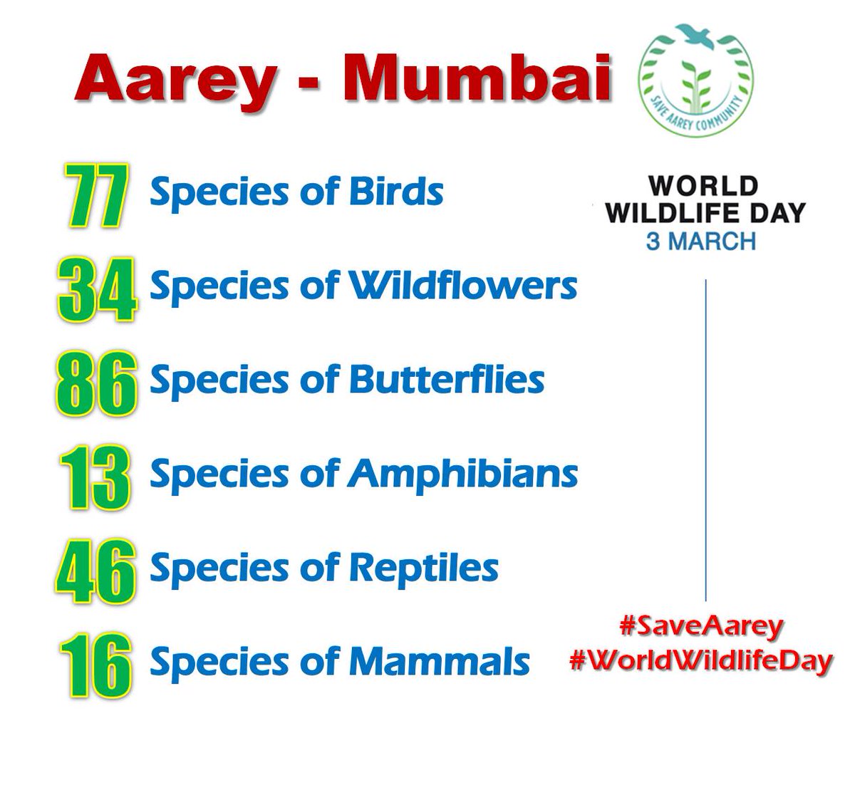 Not just 1000 trees its Mumbai's wildlife destroyed! #NoMetroYardinAarey will u let this happen? <a href="/aamir_khan/">khan saab 🥰</a>