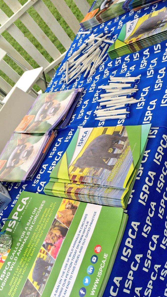 PedigreeIreland's tweet image. We're getting set up here at #Pawsitivity in the City! Around Merrion Square this afternoon? We're here until 2.30pm