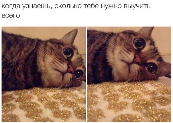 veselyy_ostrov's tweet photo. #до_слез #напозитиве #prikoly #funfoto #смешно https://t.co/dqCs5qCHiF