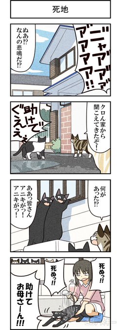 単行本のお知らせ 猫と人間のちょっとおかしなコミュニケーションを描いた漫画 我 ゆきひろゆきの漫画
