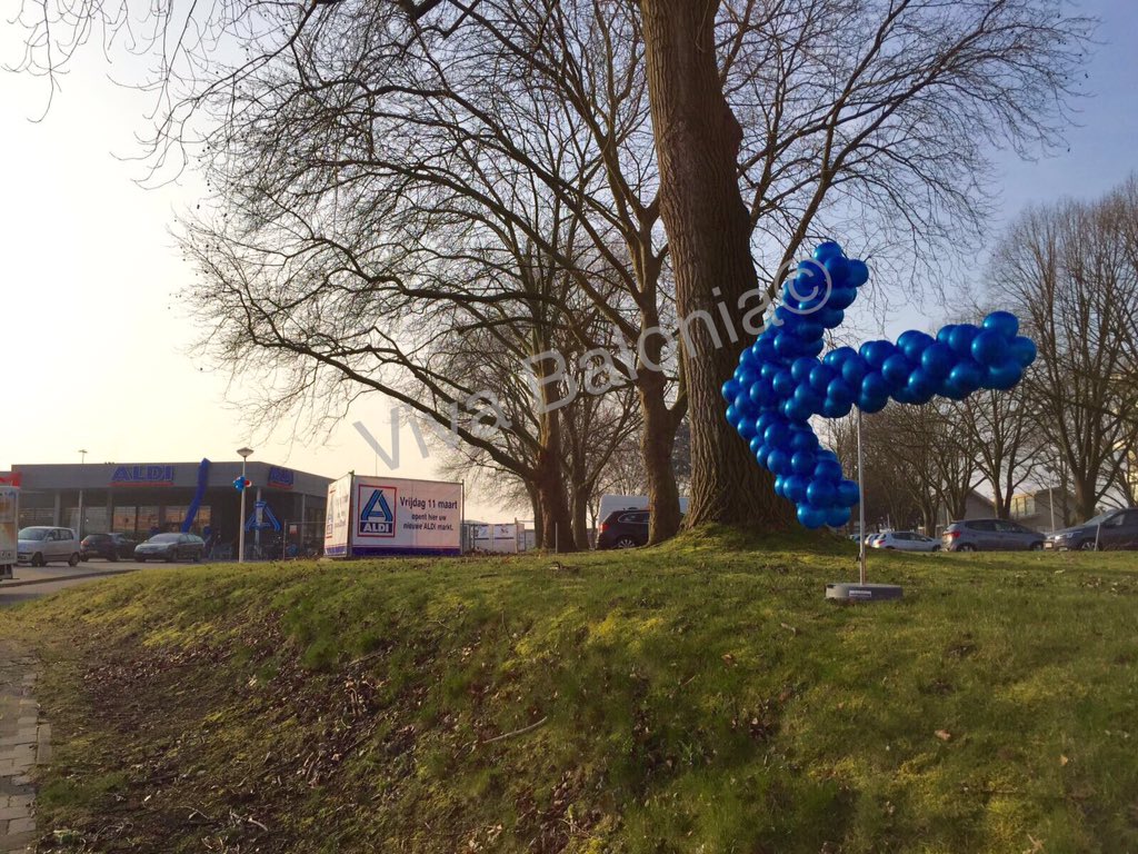 VivaBalonia's tweet photo. Vanmorgen vroeg de overige #ballondecoraties geplaatst voor de nieuwe #ALDI in #Maastricht. https://t.co/6zHYvlO5mp