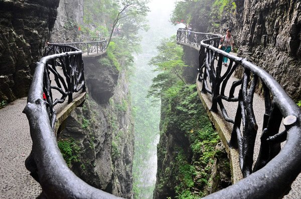 ThisIsHunan's tweet image. Guigu Plank Road , a plank road built along a cliff face , Tianmenshan National Forest Park. #Zhangjiajie