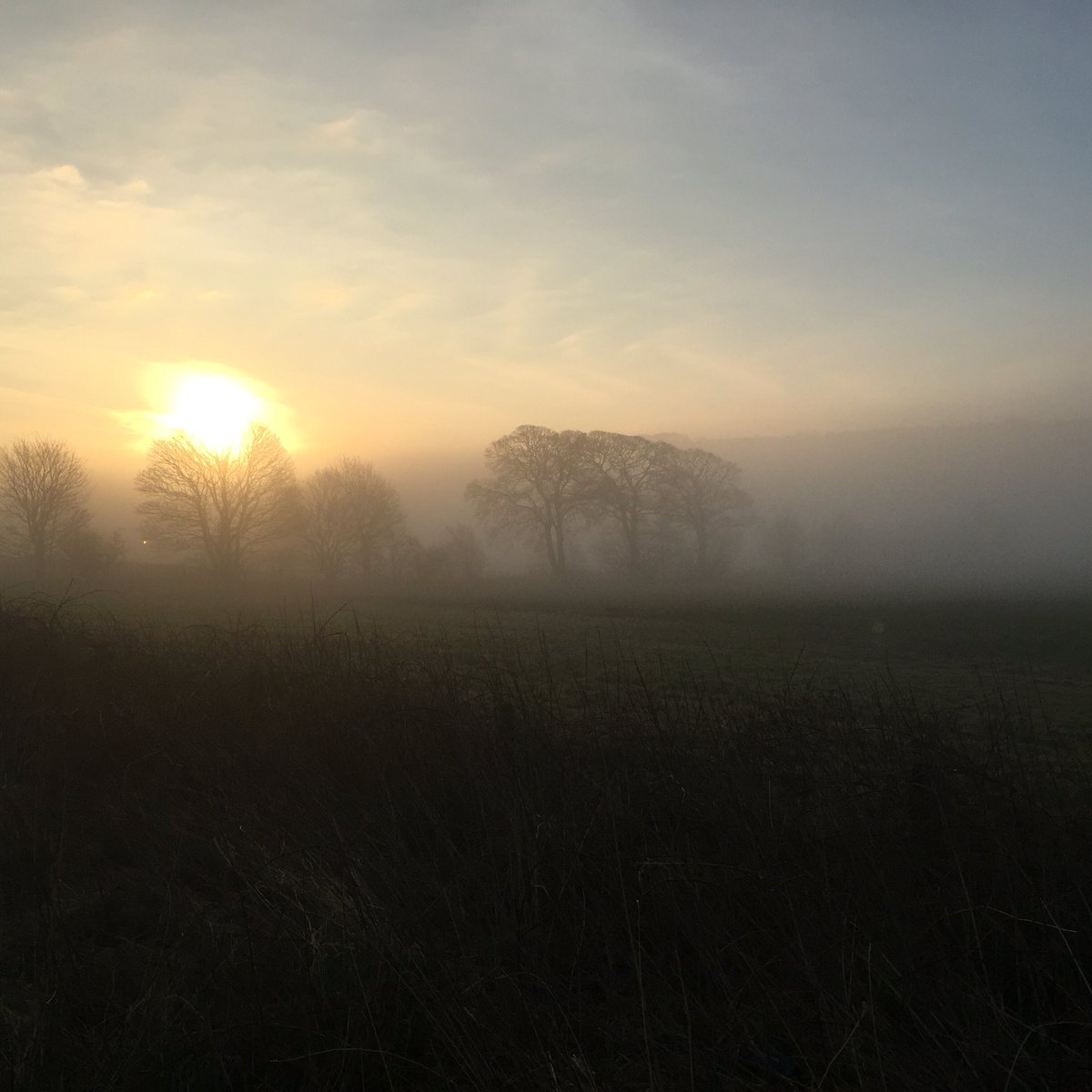 <a href="/bbcnewcastle/">BBC Sport Tyne & Wear</a> Incredible view running in Ovingham,  Northumberland this morning... #sunrise #photofriday 🏃🏾🌞👍🏾