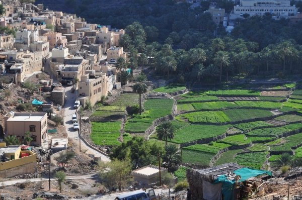 timesofoman's tweet photo. Visit #BiladSayt, #Oman's most picturesque village. https://t.co/YdUaLe3xYh https://t.co/cKQ7Ycjn2K