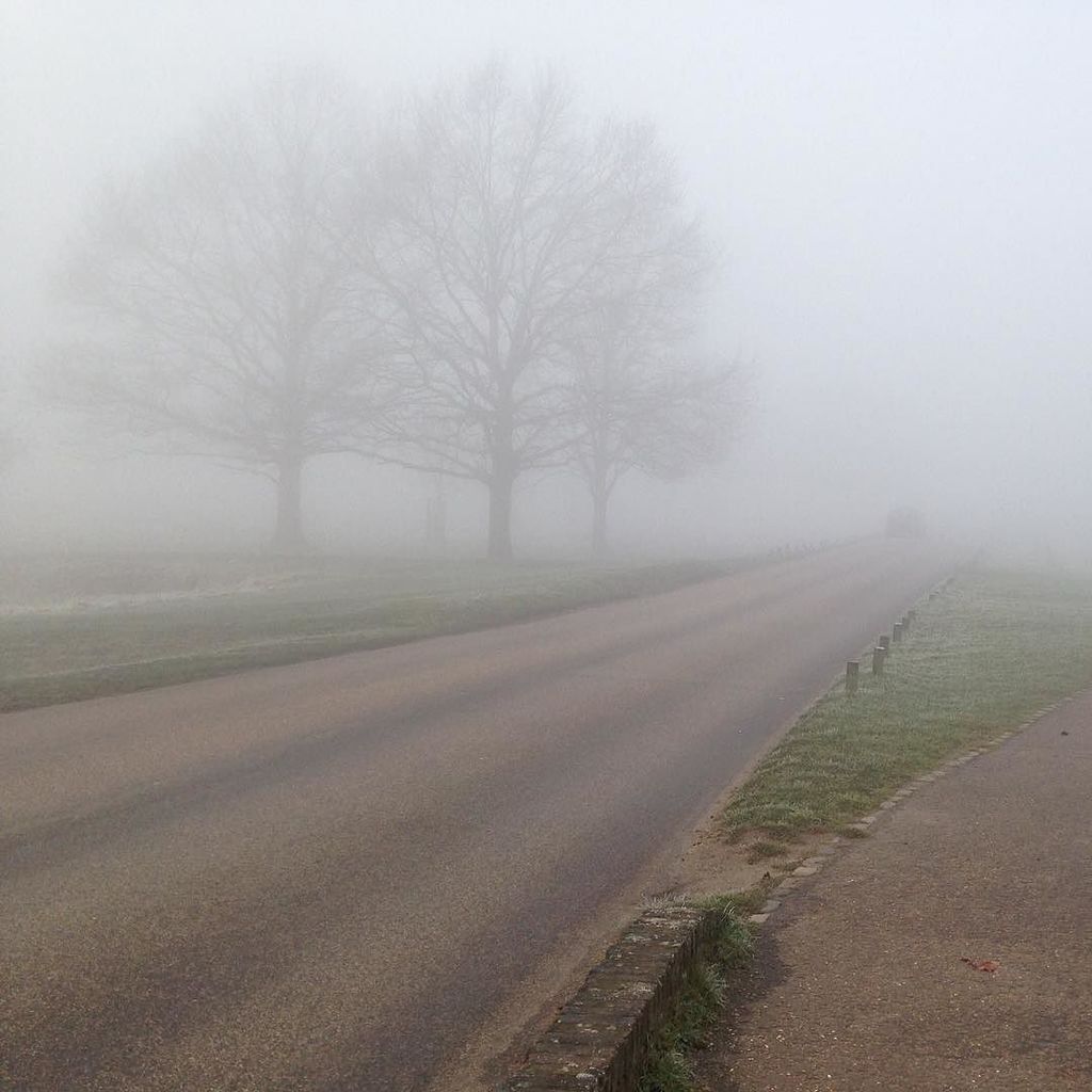 vulpinecc's tweet photo. This morning was a bit 'cyclists in the mist' My #Hoyvulpine Roubaix Bib Tights kept me to… https://t.co/GFuUHxhtfH https://t.co/0VSrhdcSwG