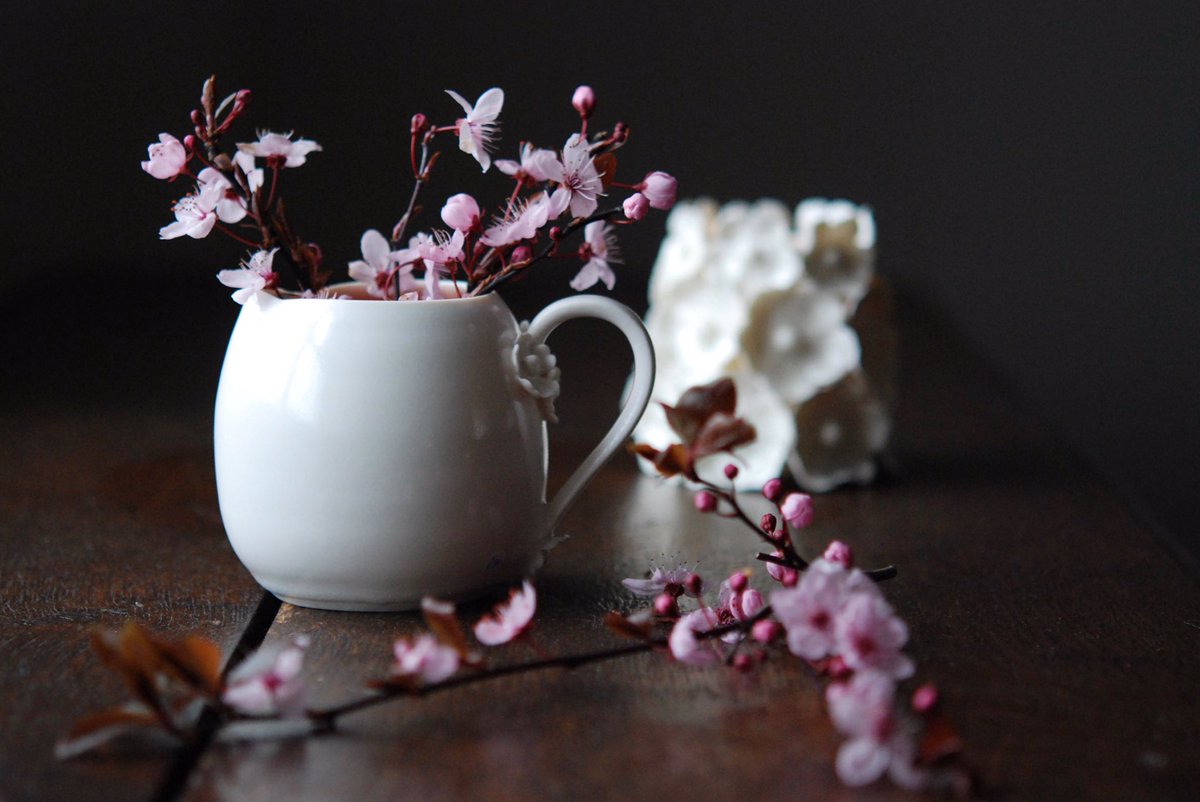 emma clegg ceramics tweet media