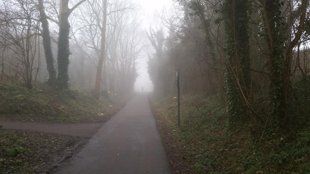 AlbanWay's tweet photo. Spooky ride this morning! #freezingfog #icyeyelashes #albanway https://t.co/EVPUPhd2gS