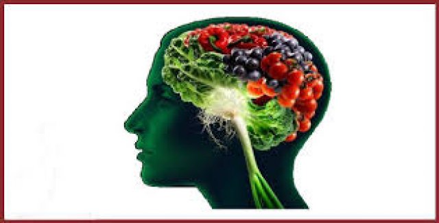 I cinque #alimenti che fanno bene alla nostra #mente goo.gl/oSNEro
