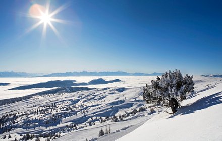 SiteWebIledeRe's tweet photo. Forfait de ski journée, Aillons Margeriaz à #AILLON LE JEUNE en promotion à 10.00€: En… https://t.co/EIqRMBdfww https://t.co/hBZ1kwkArq