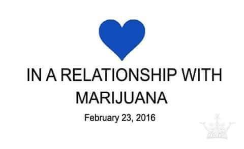 WeedBcn's tweet photo. Call or whatsapp 0034 671670217 if you are here for Spanabis and want to join a central cannabis club! #spanabis https://t.co/JRStzc0r7z