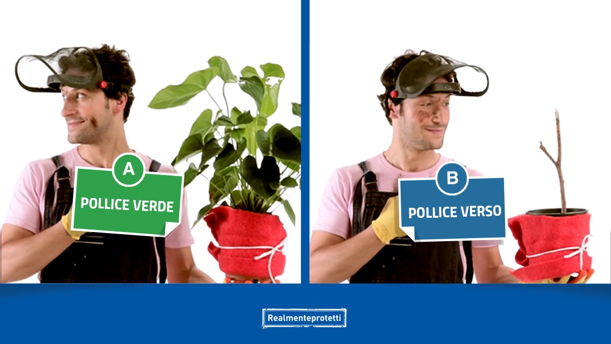 Realmente's tweet photo. Che rapporto hai con le piante del tuo balcone o del tuo giardino? https://t.co/WJkXdfyVhb