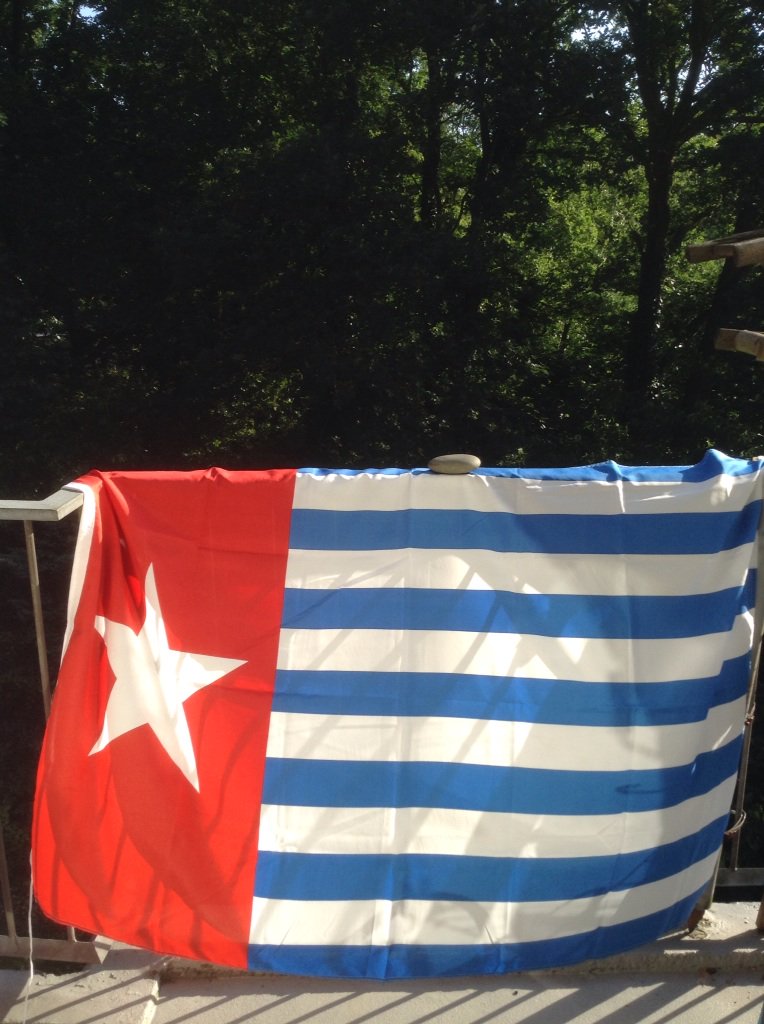 RozemaHilbrand's tweet photo. #DutchDaily: '#Jakarta commits genocide on #Papua's. This is my Morning Star. With #Papua! @FreeWestPapua https://t.co/3tK0tV78Pg