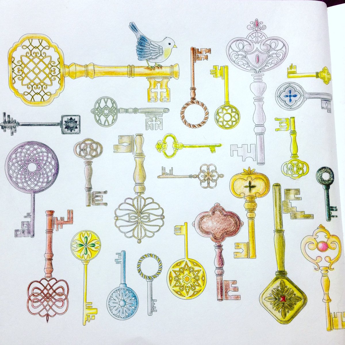みき茶 大人の塗り絵 鍵のページを塗り終わりました٩ ۶ 金 銀 銅etc などひとつひとつ全部違うイメージにしてみました 画材は水彩色鉛筆 ドライ 色鉛筆です 大人の塗り絵 奇跡の鳥の旅 コロリアージュ T Co Otkgpwxlpb