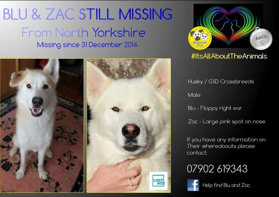 Lostbox-Lost & Found tweet media