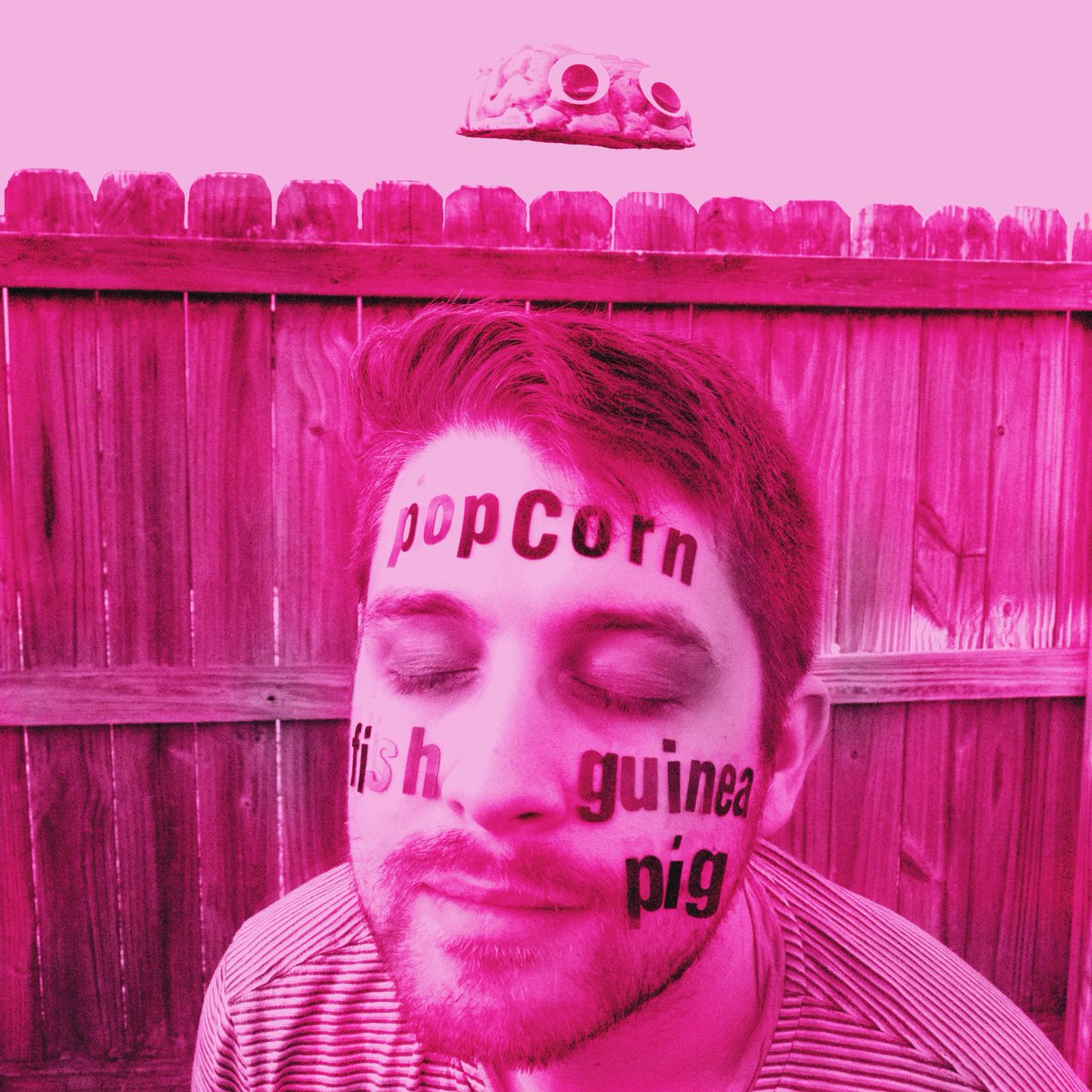 MuseumMouth's tweet image. Our new record Popcorn Fish Guinea Pig comes out 4/29 on Rory Records/ Equal Vision Records!! 💖💖