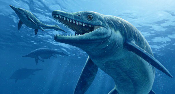 AKJayElle's tweet photo. Is global warming causing mass extinction on the same scale as the dinosaurs? https://t.co/nwUwWuzfOz https://t.co/jeV735FSCo