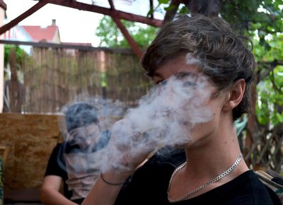 Panel examines effects of cannabis use on developing brain in youth ow.ly/ZlHEt