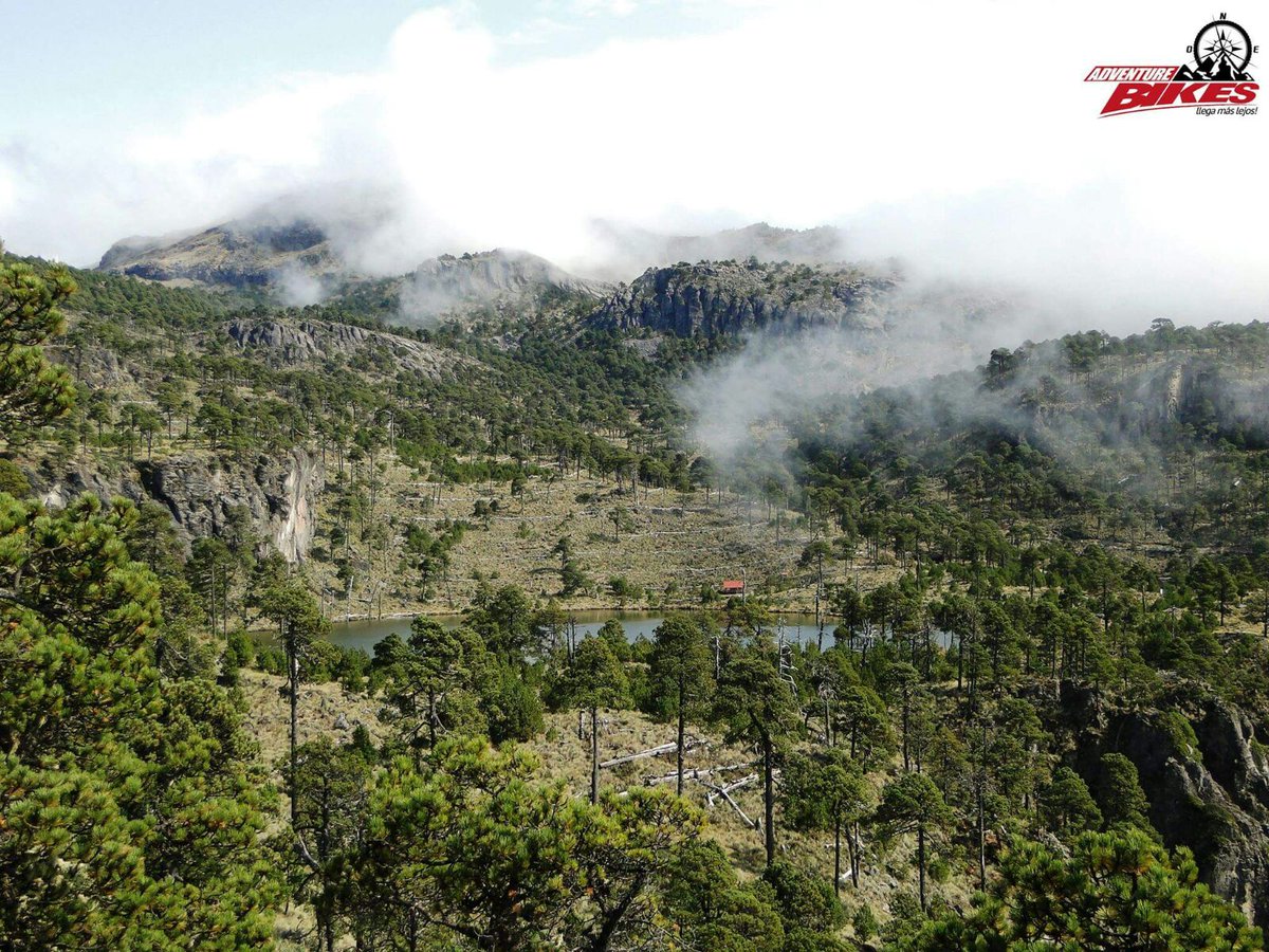 Ruta Ciclista "El Lince" 8 km hasta la Laguna Tilapan, al píe de la Peña del Cofre de Perote. ¡Deporte de Altura!