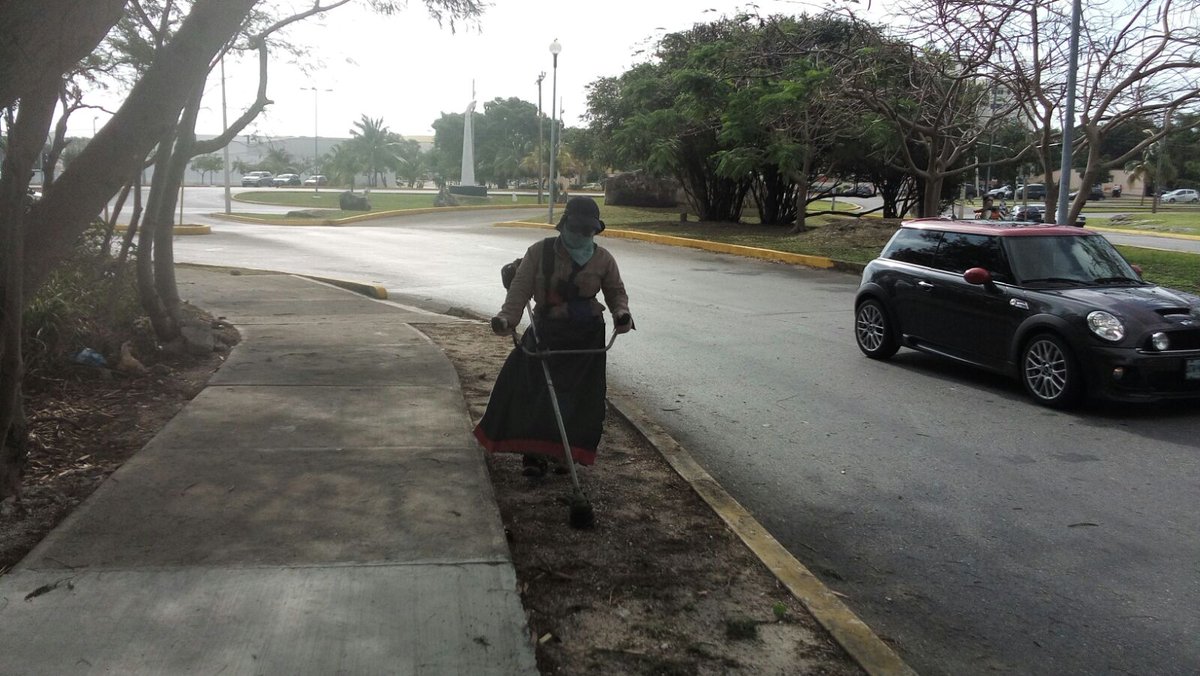 <a href="/Parques_BJ/">Parques y Jardines</a> realiza limpieza en banquetas y camellones #AvContoy <a href="/AytoCancun/">Ayto Benito Juárez</a> <a href="/VivoEnCancun/">Vivo en Cancún 🏖️</a> #ResultadosQueTransforman