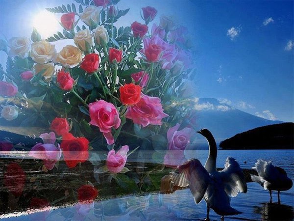Happy time
Make your life
A wonderful
Just tell yourself 
I am fine