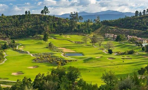 ElementGolfSA's tweet image. @ElementsGolfSA meanders through a fertile valley of indigenous vegetation and artful landscaping #Beauty #Limpopop