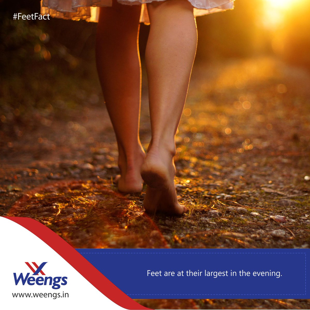 weengsindia's tweet photo. #FeetFact
It is astonishing but true that the size of your feet increases in the evening.#weengsindia https://t.co/S5VMsvSMgQ