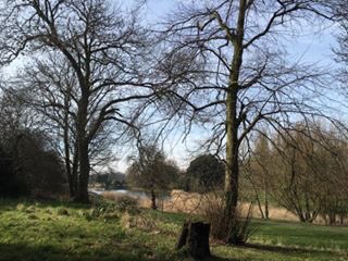 NatSunshineLiv's tweet photo. Stunning walk to our office in #Liverpool Still not enough Vit D though. Need to supplement https://t.co/AE2BR66dIU https://t.co/r9wCbdlLo4
