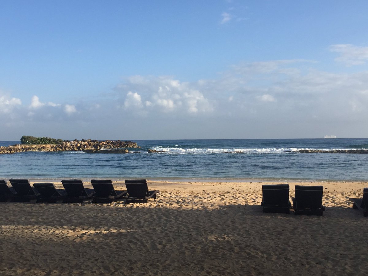 stephwynn's tweet photo. Great view this morning #whereisthesnow 🌴#momdaughterfun https://t.co/ArXXIuVvdk