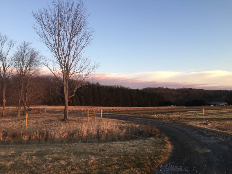 SylviasTable's tweet photo. Welcoming spring at @KatchkieFarm! https://t.co/ThToz2D6hj