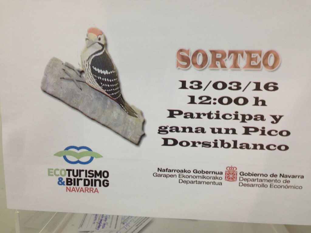 Puedes ganas este pico dorsiblanco si pasas  por el Stand <a href="/BirdingNavarra/">Birding Navarra</a> en FIO