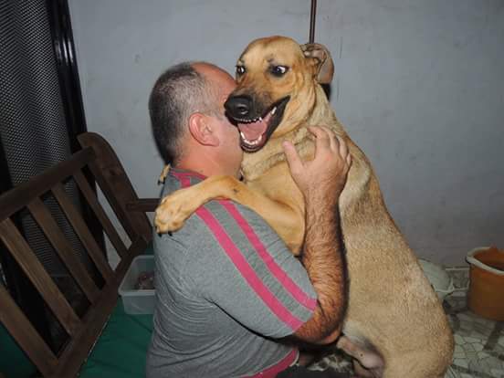 refugioenalerta's tweet photo. LOLITO loco de felicidad por los mimos q recibe.. rt x una casita cariñosa https://t.co/6lgnbtCv6Q