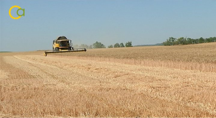 Hoy, de nuevo, podrás ver nuestro programa #CuadernoAgrario41, a partir de las 11.35h en @ondaluztv
