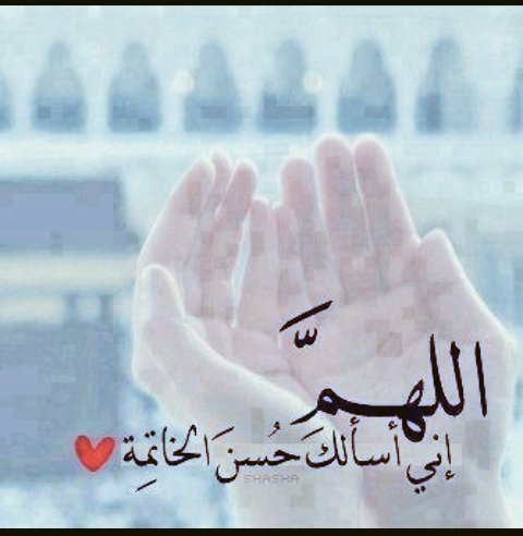 LO0LO00O's tweet photo. اللهم احسن خاتمتناً https://t.co/zVQSU2cjuH