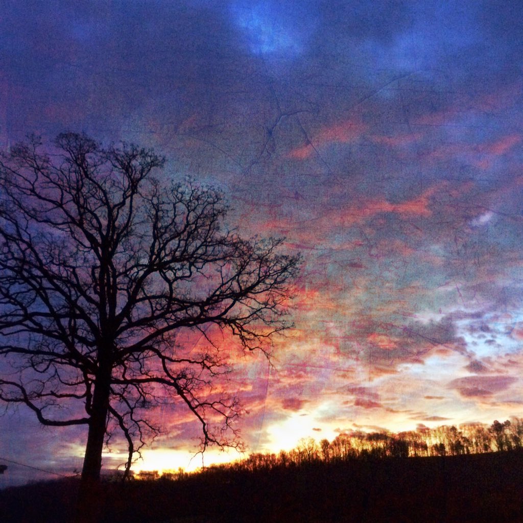 Farmerbright's tweet image. Why mornings are great. #7DaysofNature For Day 3 I nominate @DebbieLB