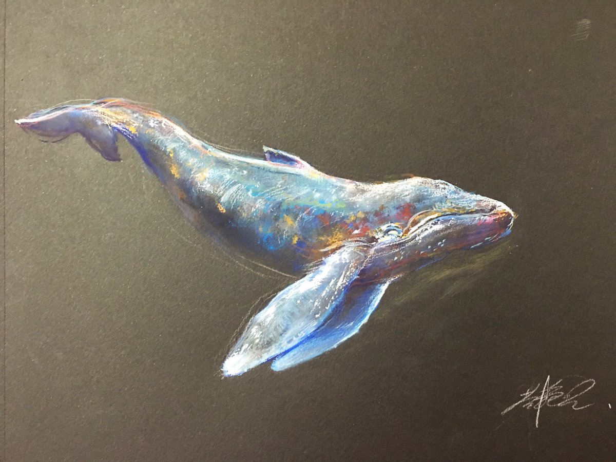 HuangYanni1566's tweet photo. Le dessin de la baleine à08/03/16 https://t.co/csReSs3SF9