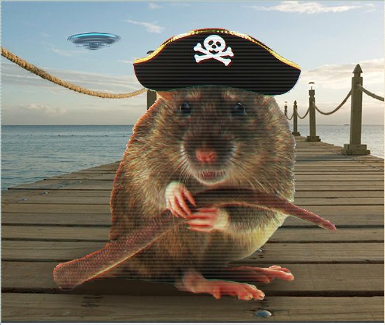Ratspunks's tweet photo. #ilovenewyork #rattled #PiratenPleite #UFO #folloback  #Errbook #selfie @TheRealChirissu https://t.co/uBqAu9m4z2