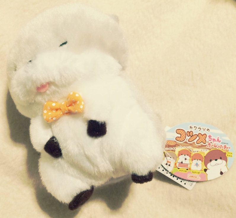 mirai_104's tweet photo. 最近の癒し https://t.co/v1rqw41kaJ