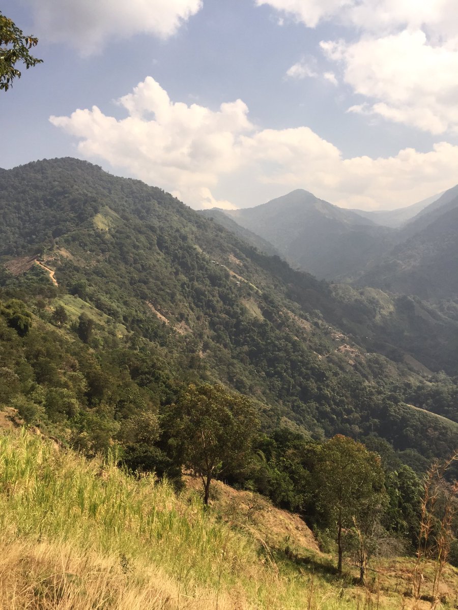 cafeoropendula2's tweet photo. Paisajes de la Sierra Nevada, zona cafetera de San Javier @cafeoropendula2 @RainForest_Cafe @CAFICOSTA https://t.co/3GF2sER8Fp