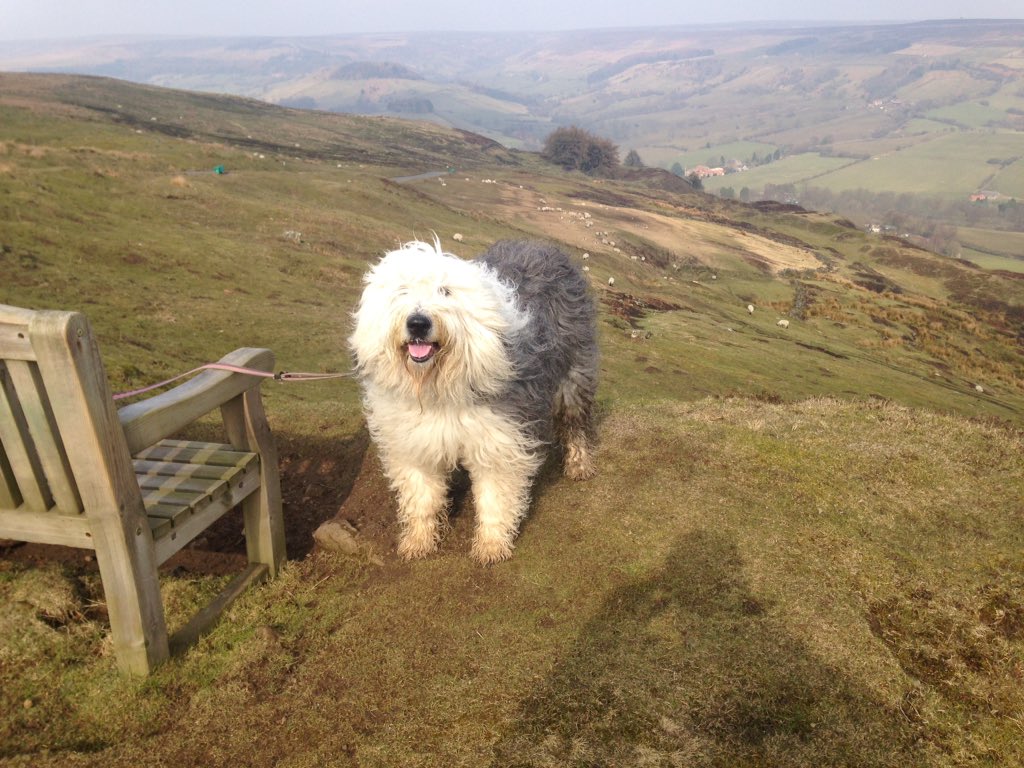 OesdMilly's tweet photo. Got to walk back up here later! #chimneybank https://t.co/a1j6JgllW2